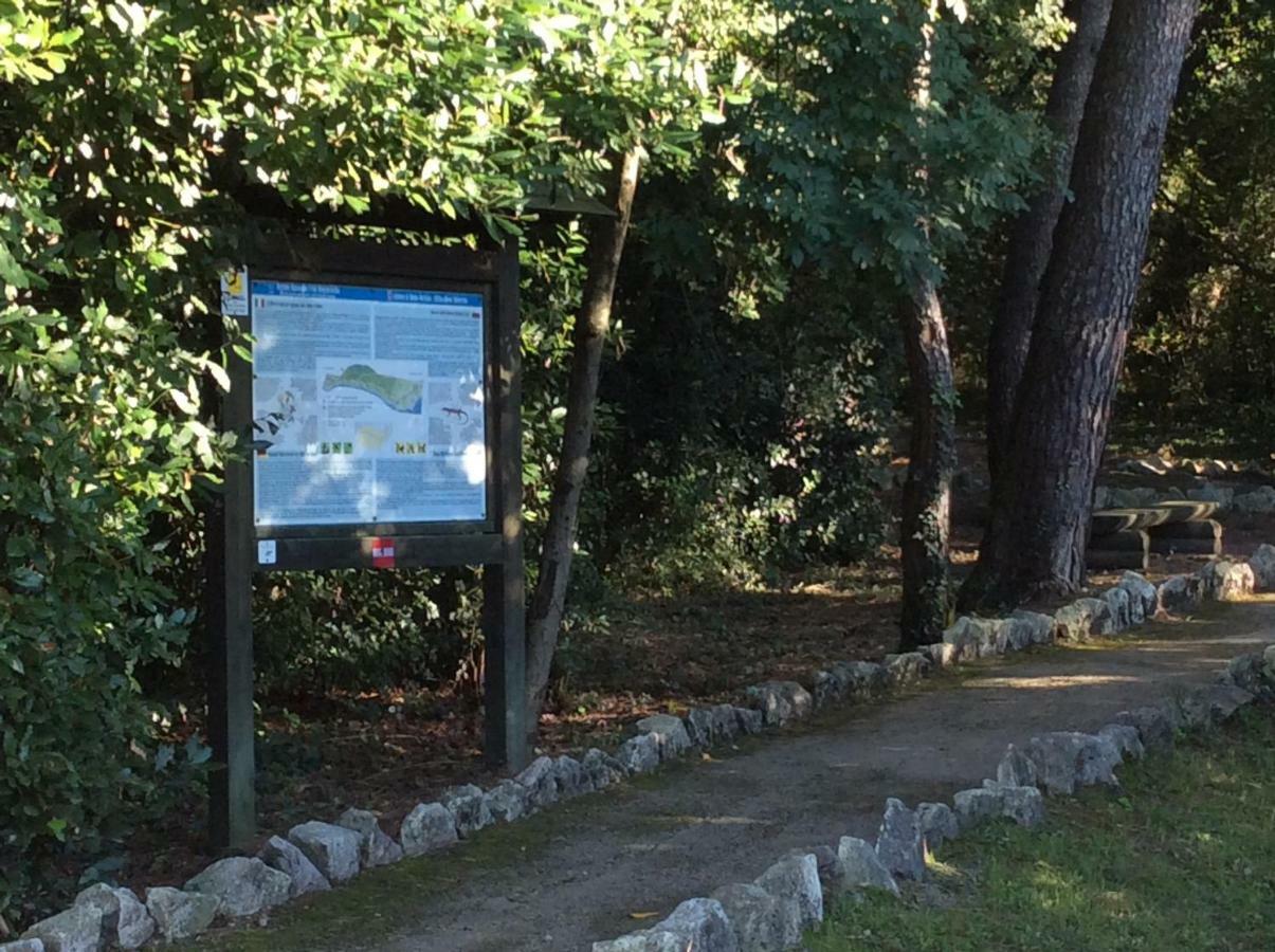 Casa Vacanze All'Orizzonte Duino Exteriér fotografie